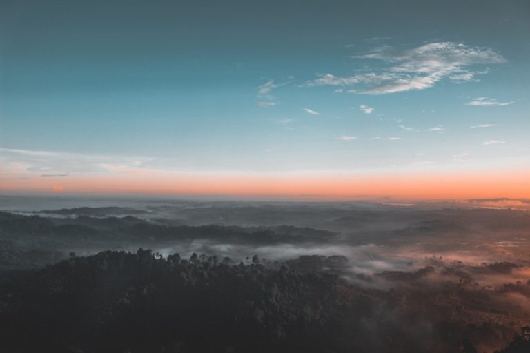 Bird S Eye View Photography Of Green Forest 1208379 768x512